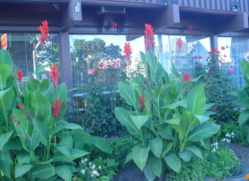 Outdoor view Photo