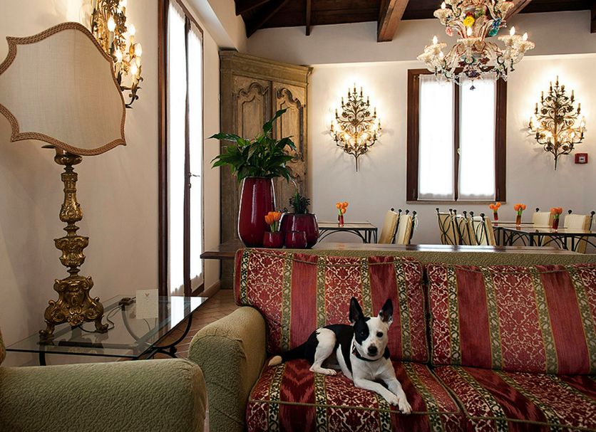 Hotel amenity Photo