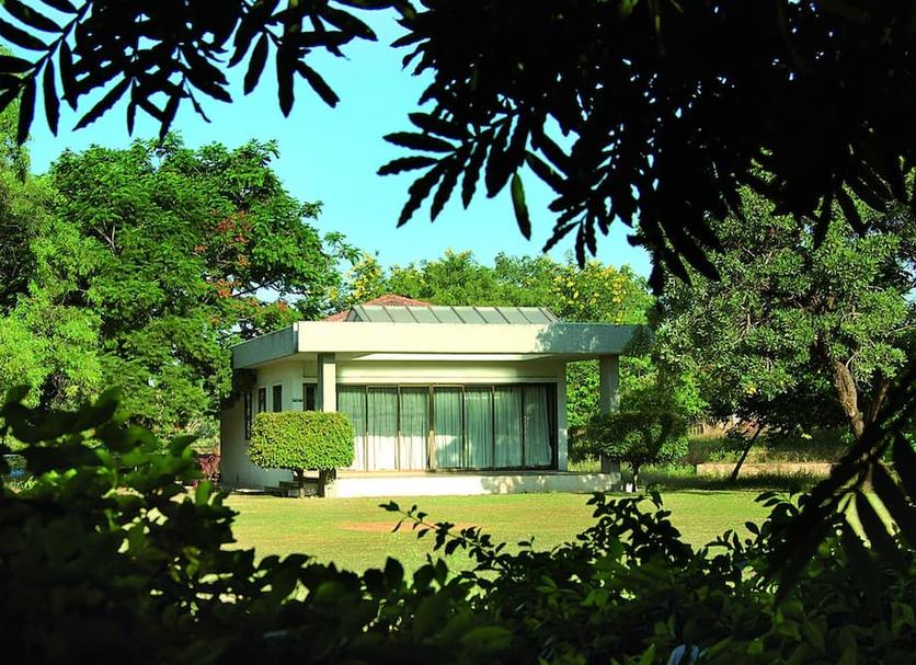 Other Photo