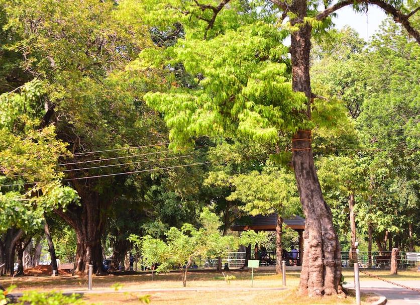 Outdoor view Photo