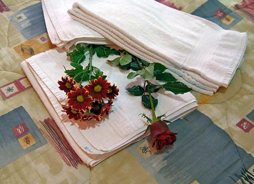 Room amenity Photo