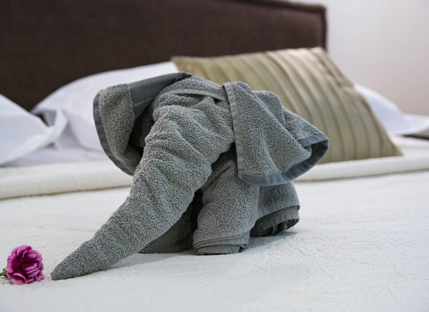 Room amenity Photo