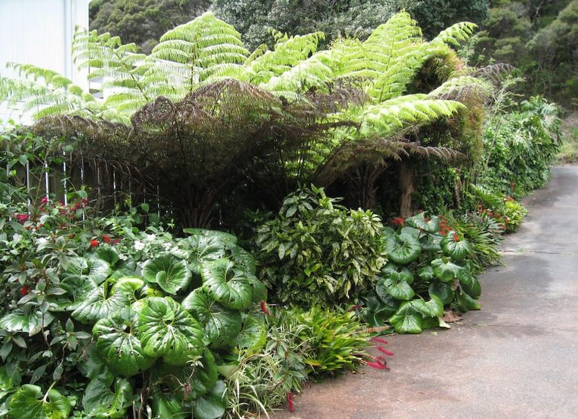 Outdoor view Photo