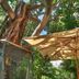 Outdoor view