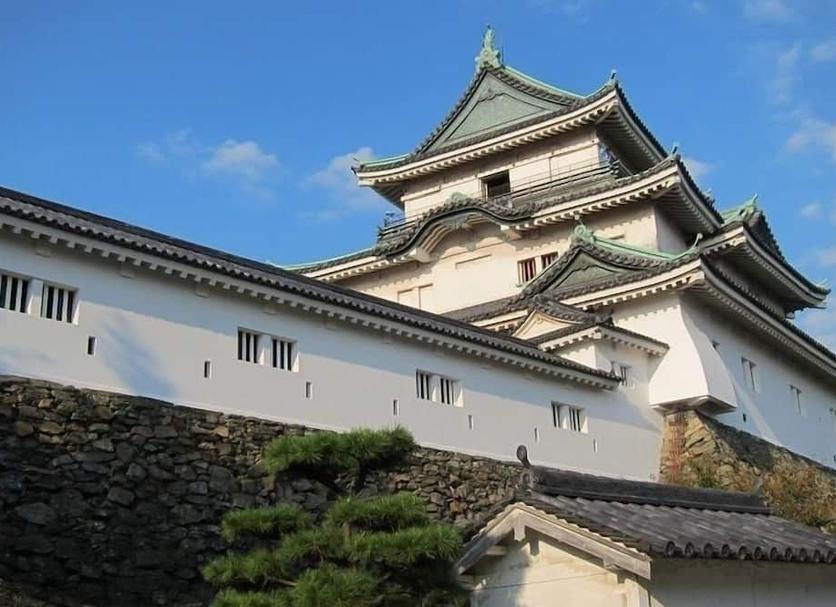 Other Photo