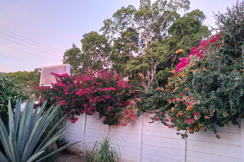 Outdoor view