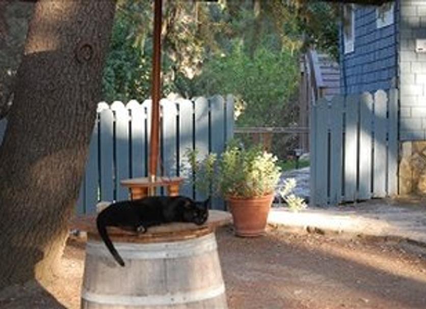 Outdoor view Photo