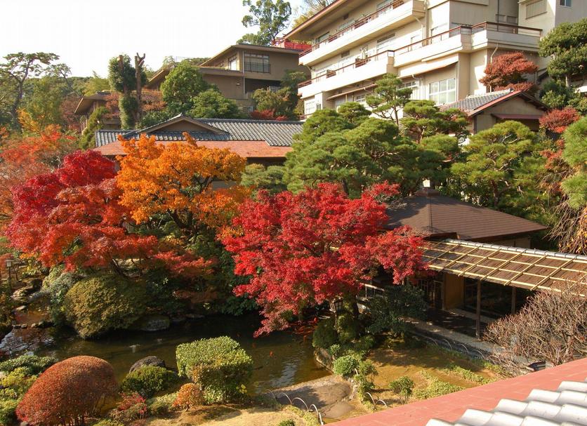 Outdoor view Photo