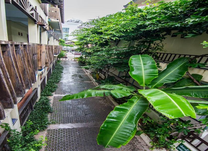 Outdoor view Photo