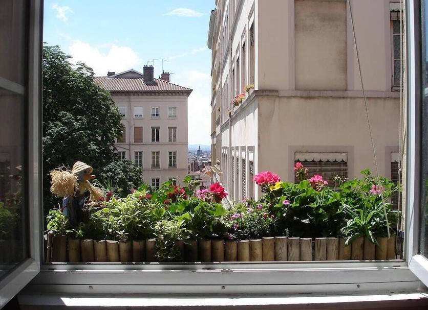 Outdoor view Photo