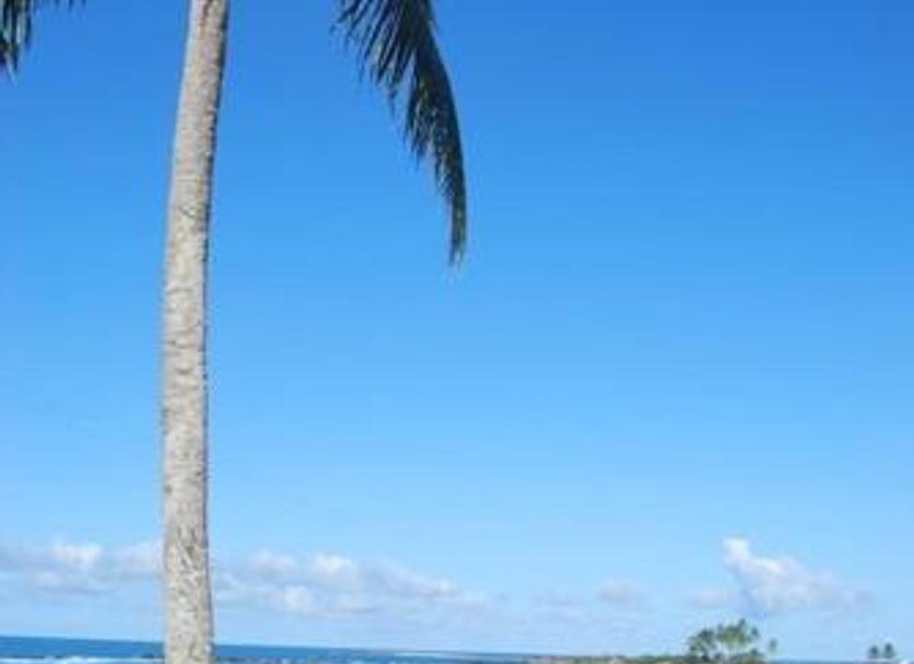 Beach Photo