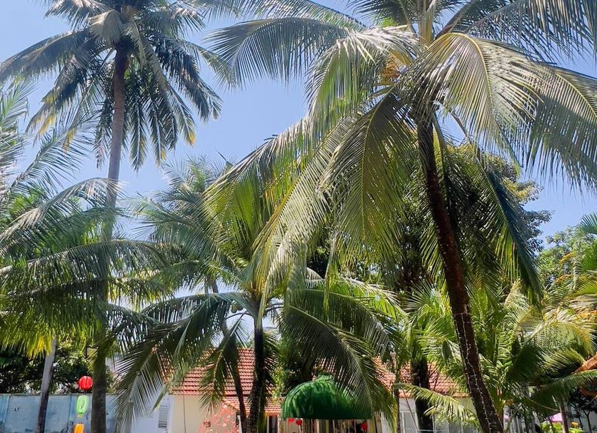 Outdoor view Photo