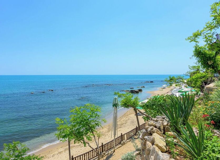 Other Photo
