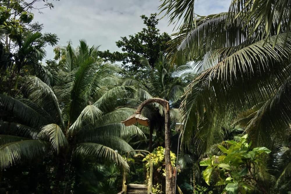Outdoor view