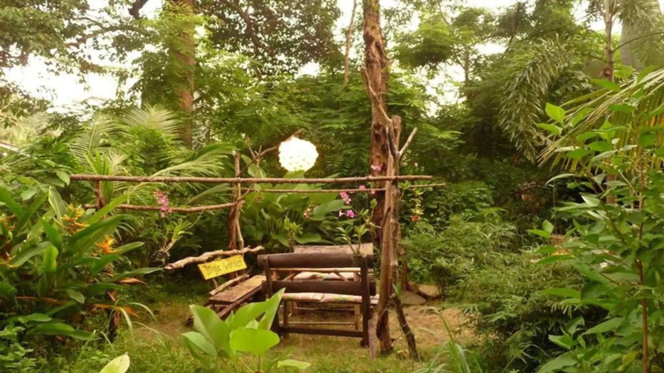 Jungle Garden
