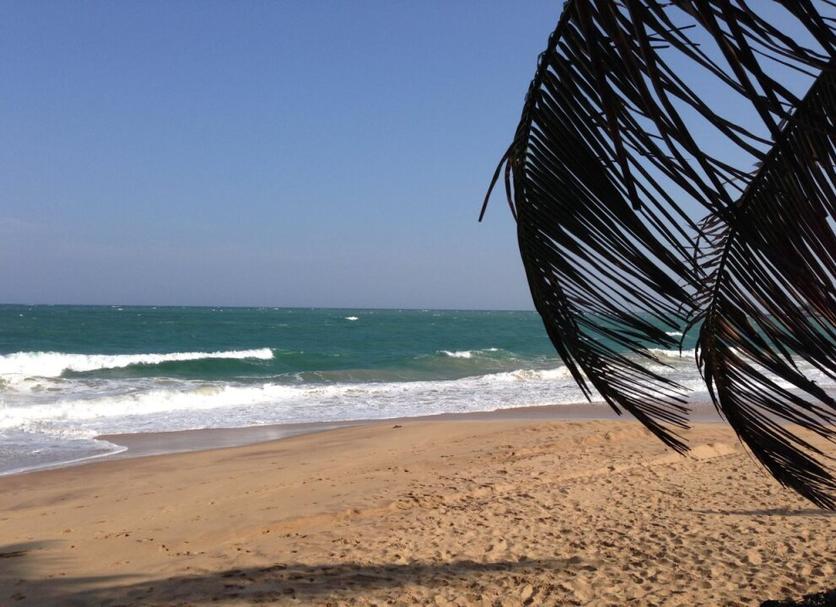 Beach Photo