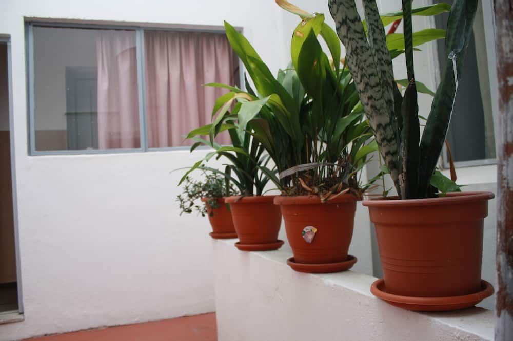 Outdoor view