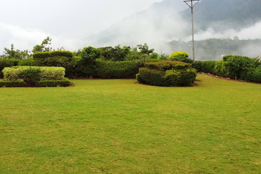Outdoor view