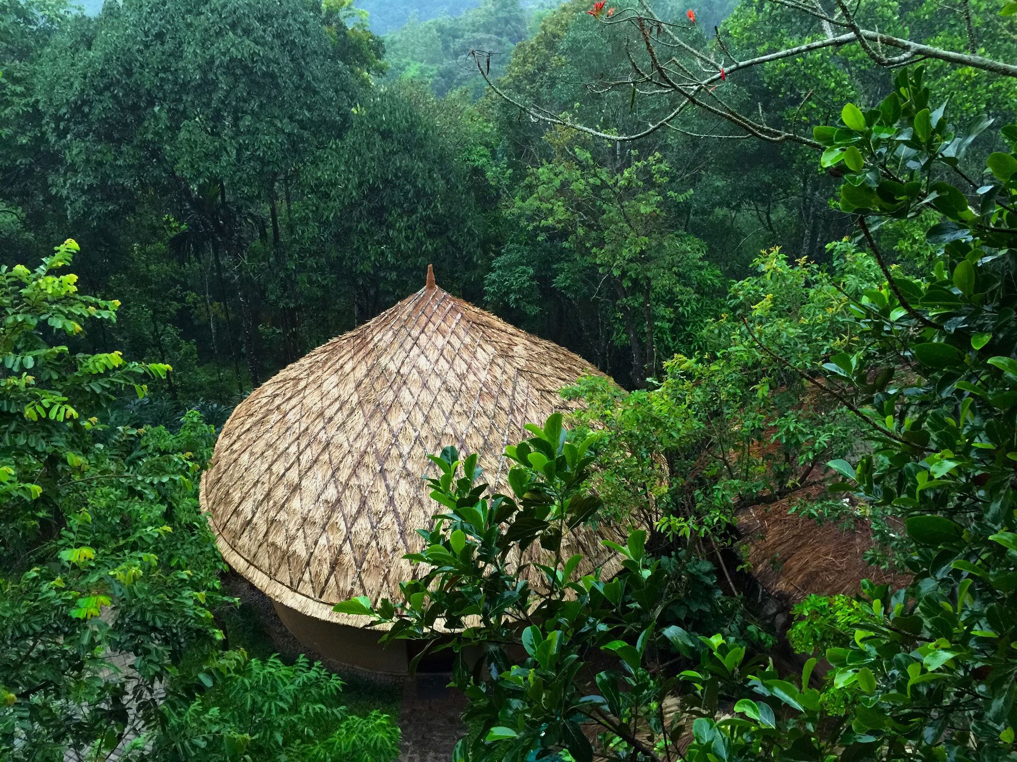 Outdoor view