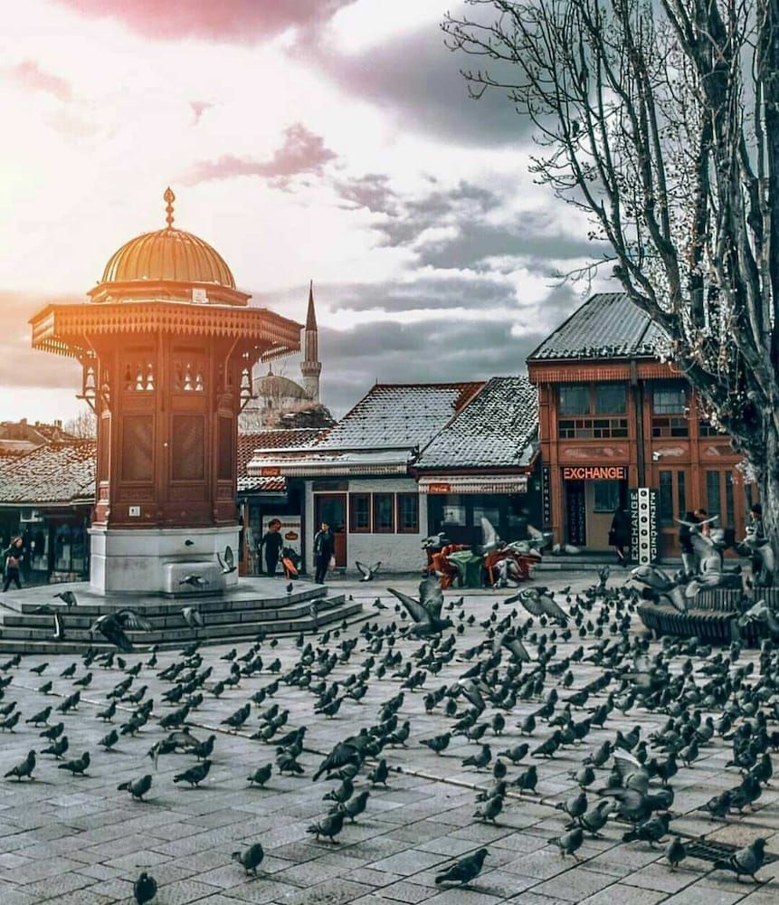 Outdoor view