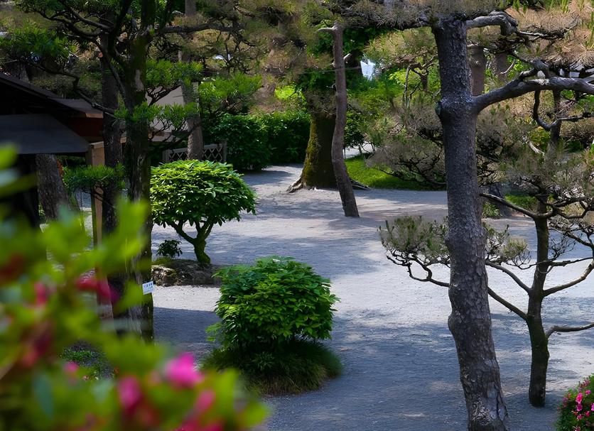 Outdoor view Photo