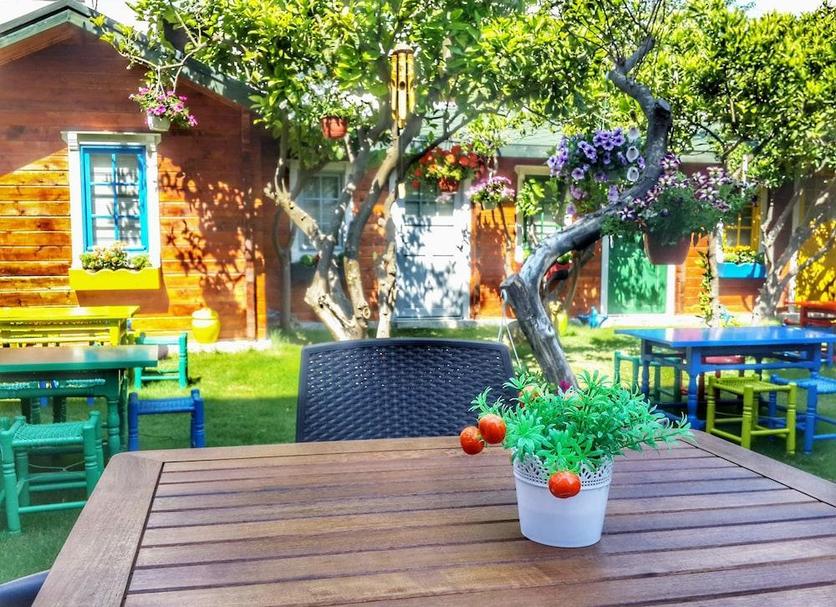 Patio Photo