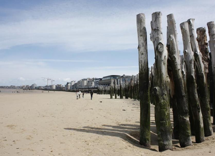 Beach Photo