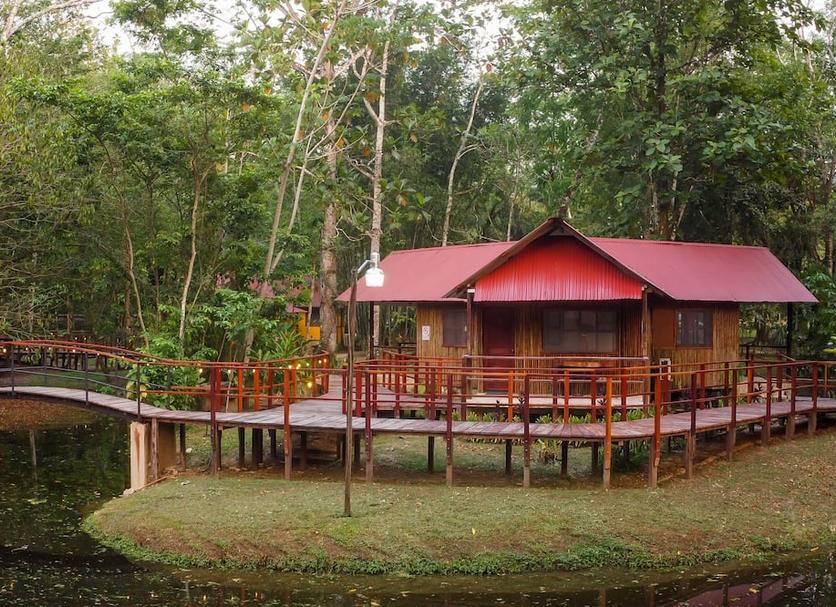 Other Photo