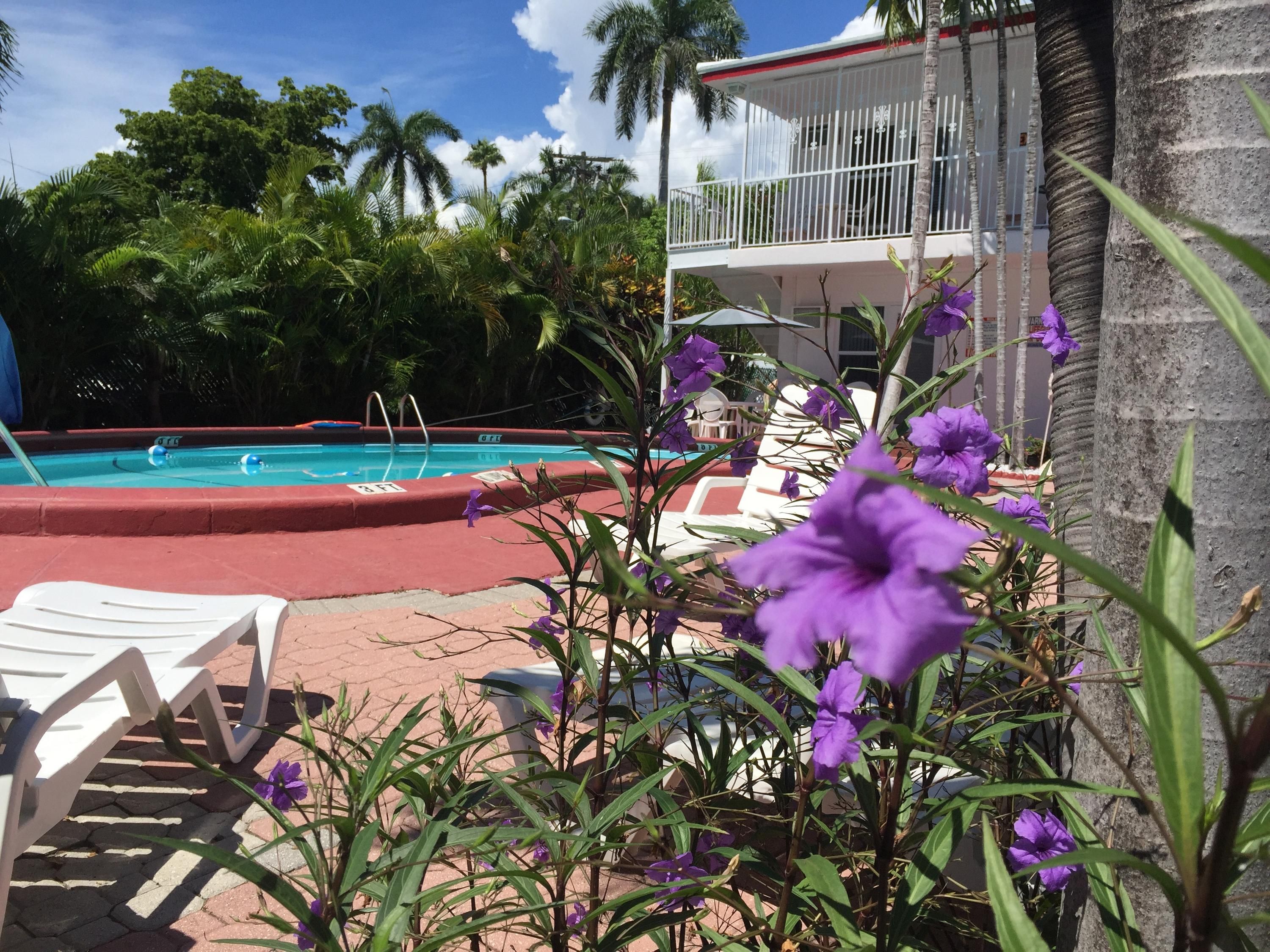 Outdoor view