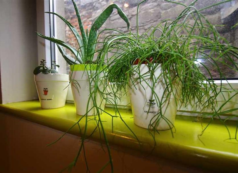 Decor Photo