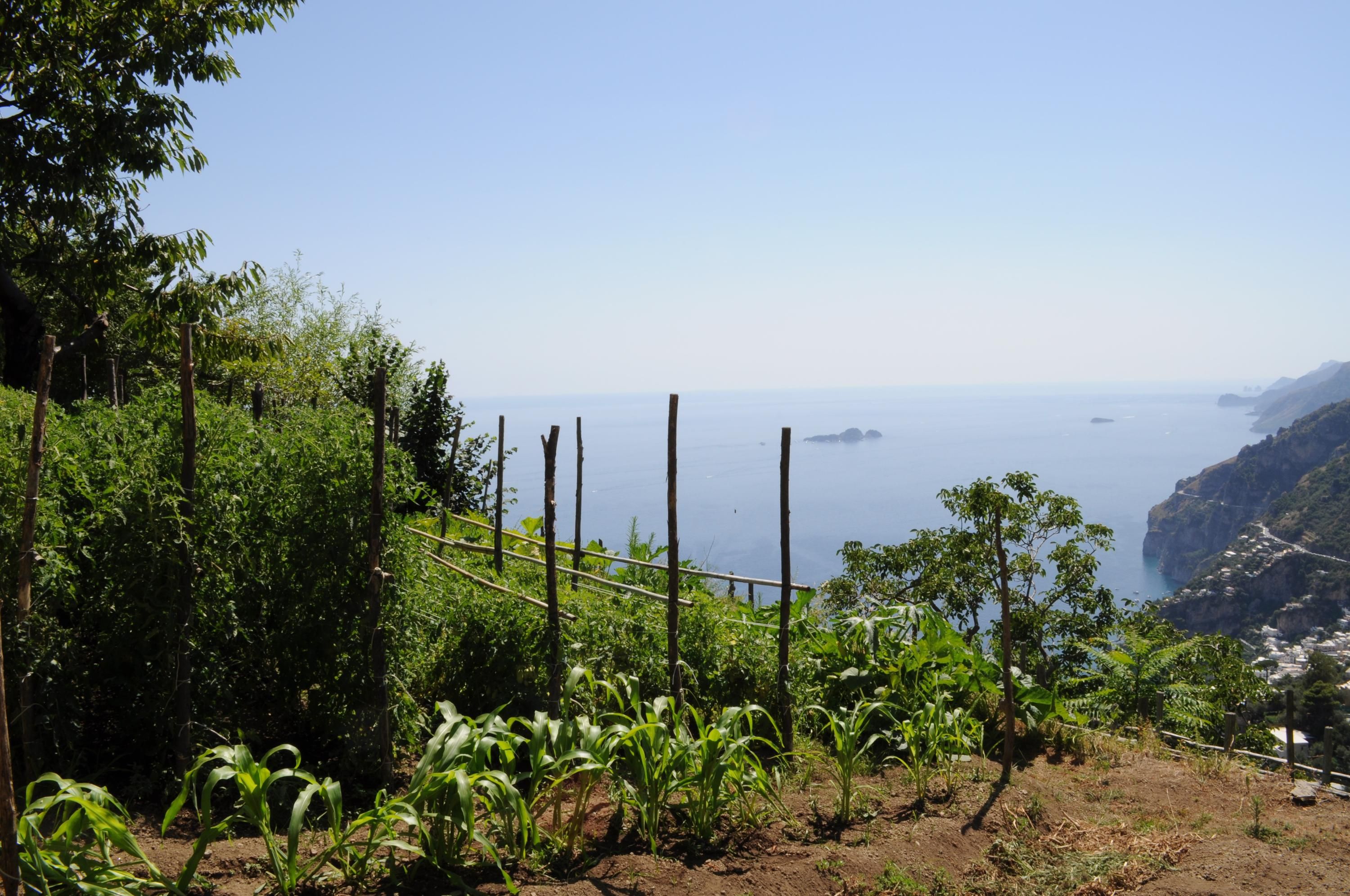 Outdoor view